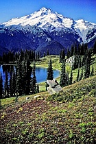 Glacier Peak & Marmot on Rock